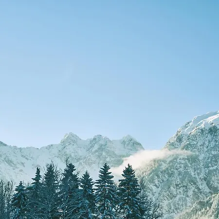 Brandnerhof アパート *