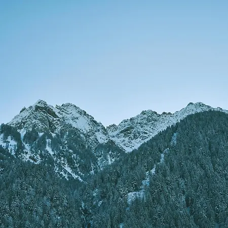 Brandnerhof شقة